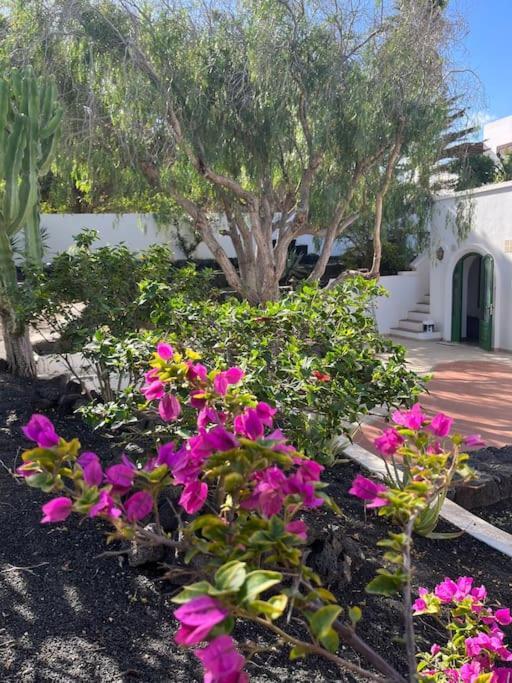 Appartement Casa Chili à Costa Teguise Extérieur photo